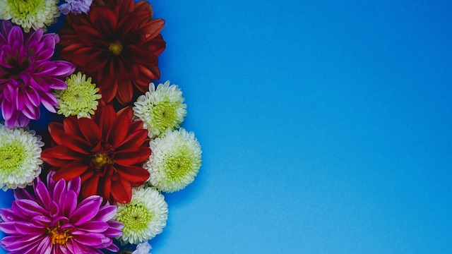 你不能直接 你不能直接