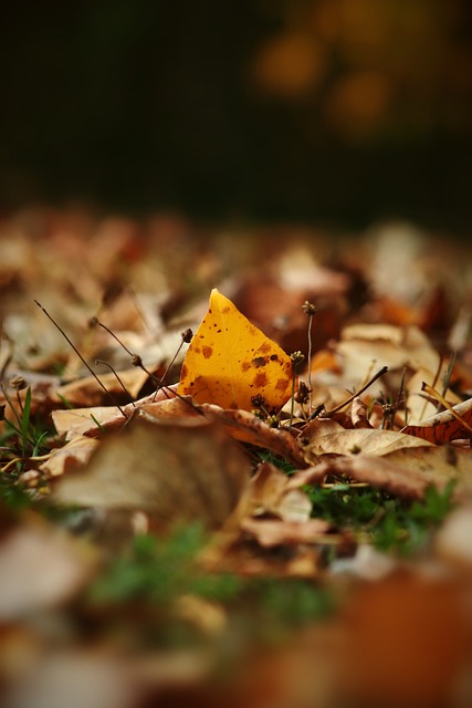 對於曼聯來 對於曼聯來