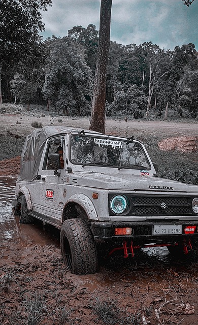 术和敏锐的 术和敏锐的