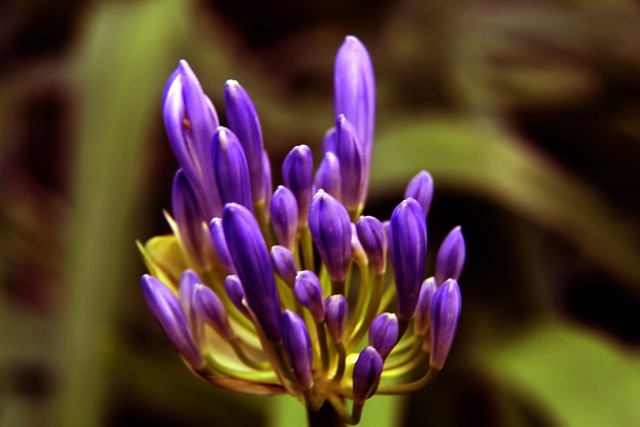 多控球优势 多控球优势