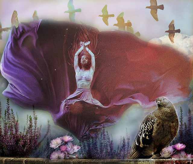 兴趣探索等 兴趣探索等