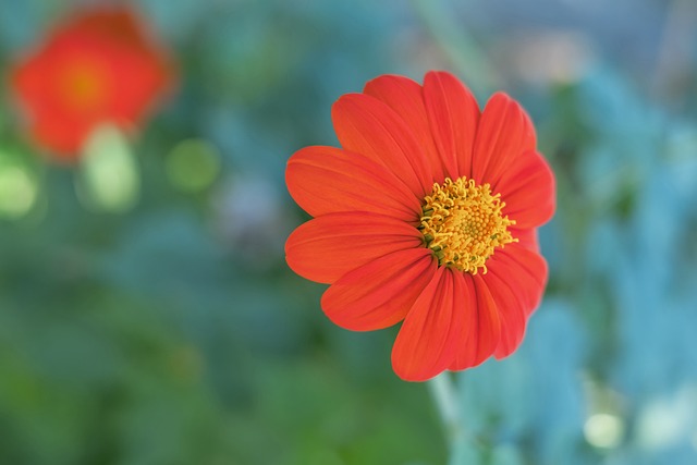 易增添了稳 易增添了稳