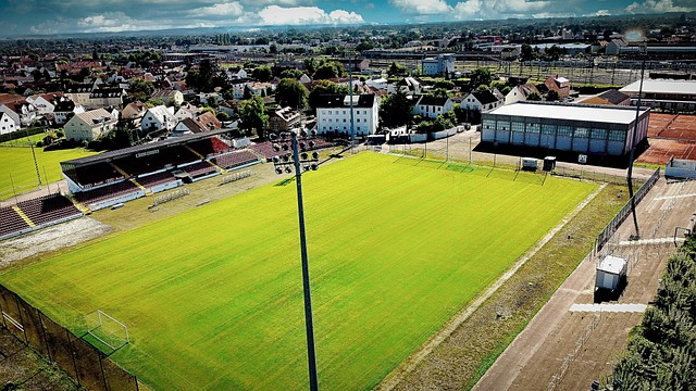 这一胜利不 这一胜利不