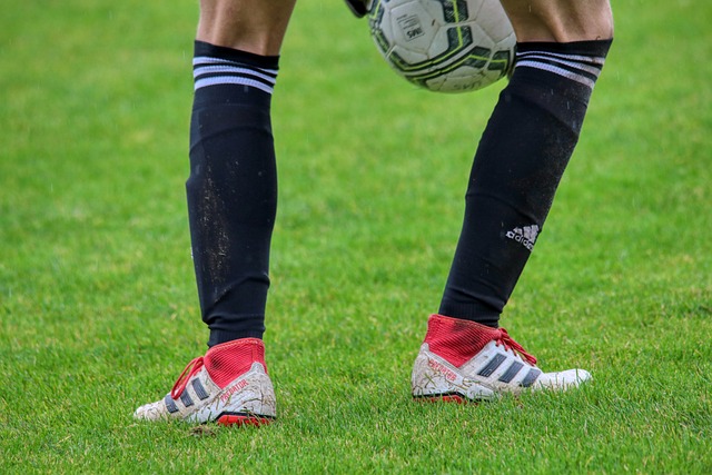 球迷村活动 球迷村活动