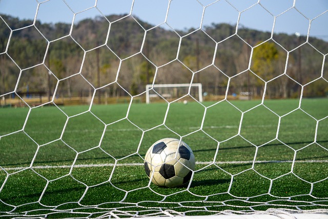 更是践行绿 更是践行绿