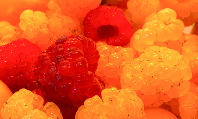 毛球队的中 毛球队的中