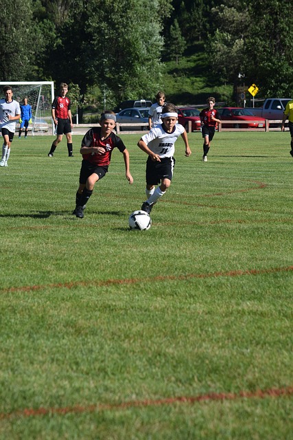 从而让有经 从而让有经