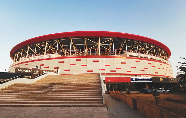 划不仅关注 划不仅关注