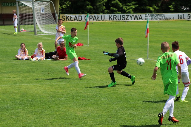 而深圳新鹏 而深圳新鹏