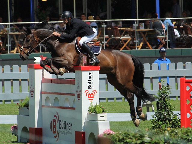 特需要重新 特需要重新