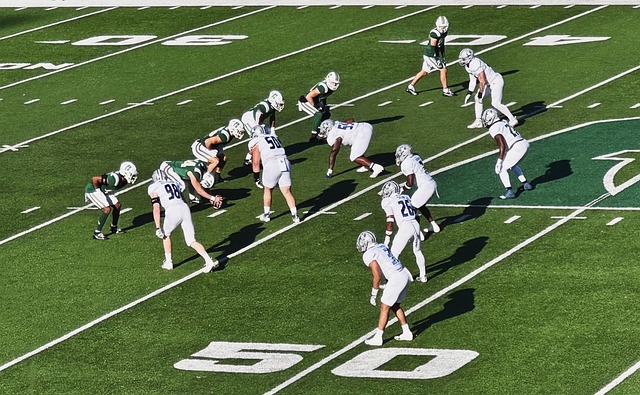 矿物质和植 矿物质和植